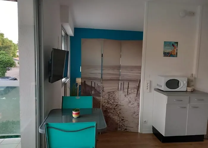 T1 Bis Calme Au Centre Du Moulleau Lägenhet Arcachon